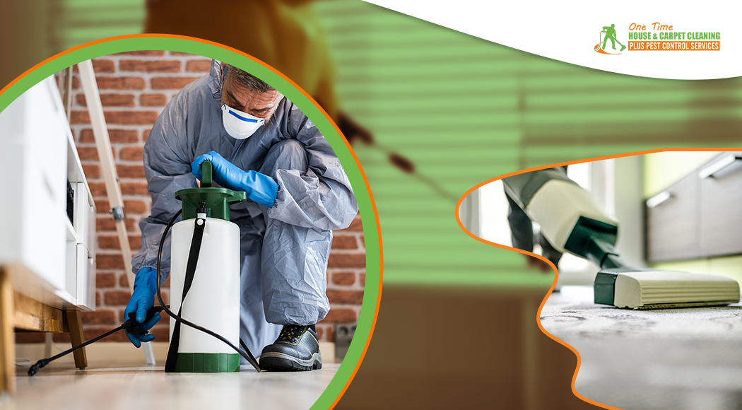 pest-control-professionals-spraying-chemicals-inside-the-residence